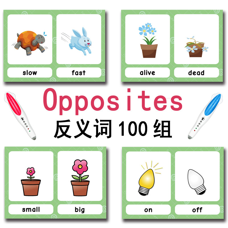 The 100 Groups Opposites Flash - Kids Toys And Games incelemesi ve fiyatı